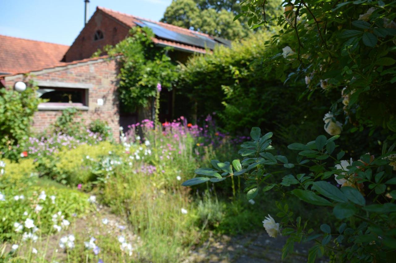 Miekes Boesj Bed & Breakfast Koningsbosch Eksteriør bilde