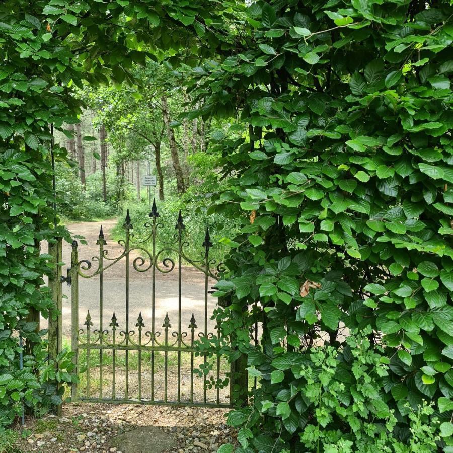 Miekes Boesj Bed & Breakfast Koningsbosch Eksteriør bilde